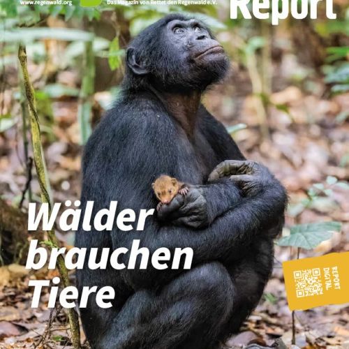 Titelbild Regenwald Report 2/24